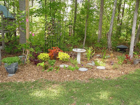 Large wooded backyard