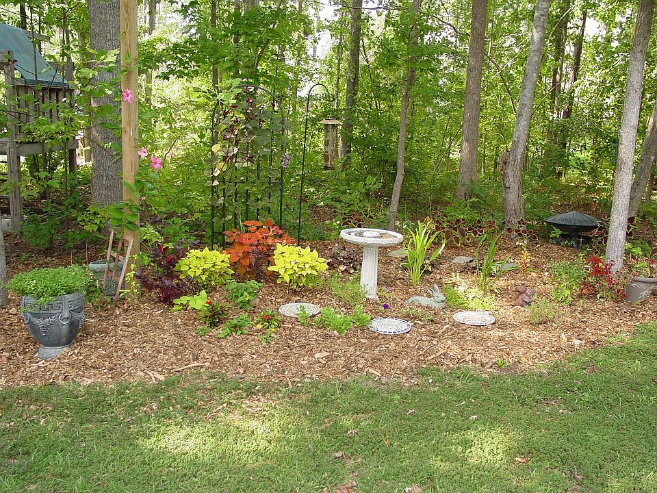 Large wooded backyard
