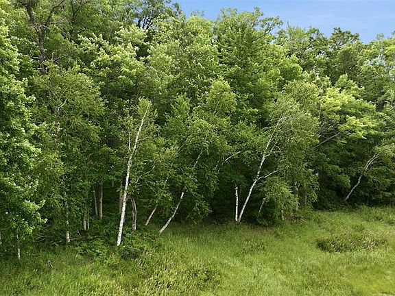 5th image of 0 Goose Lake