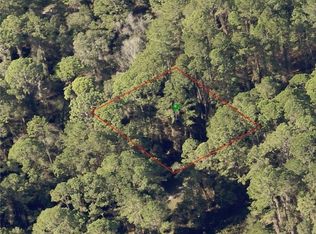 1064 E Urmey Pl, Citrus Springs, FL 34434