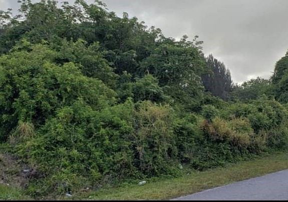 4th image of 6516 86th Ln