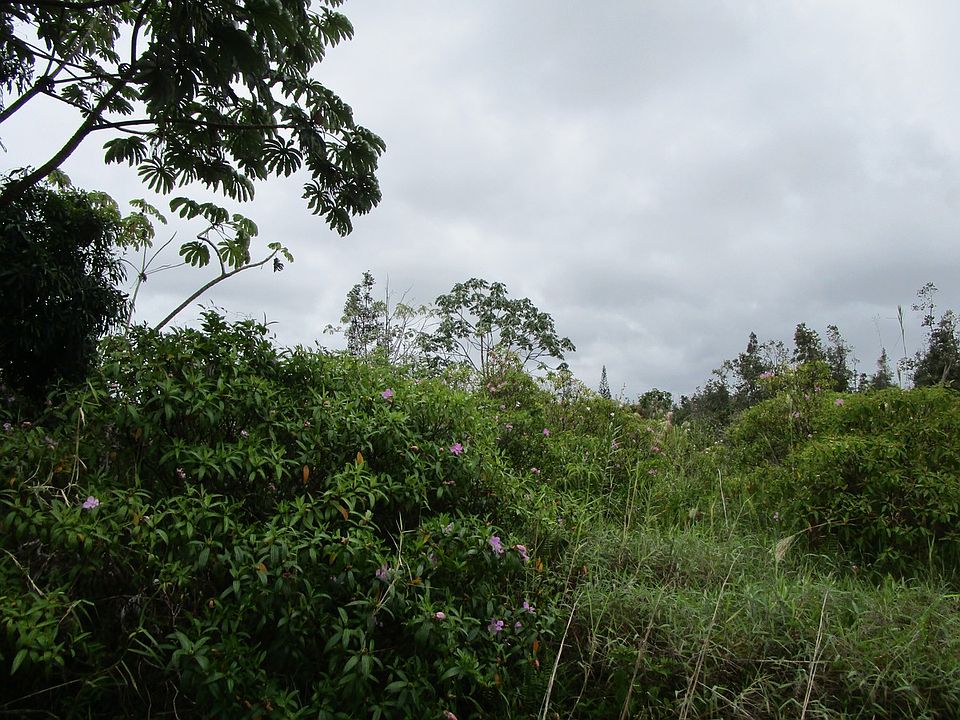 1st image of Macadamia Dr Lot 34