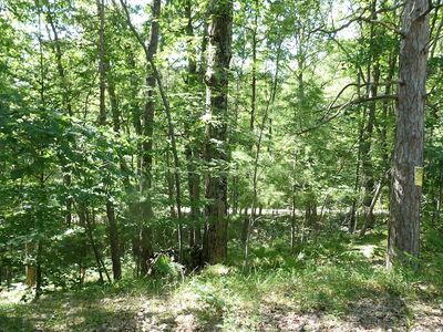 Pretty Lake Dr, Mecosta, MI, 49332