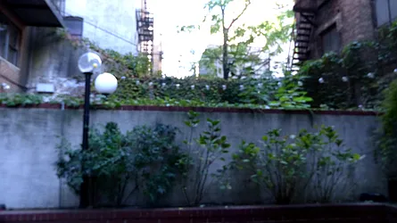 Rented by Immac Realty