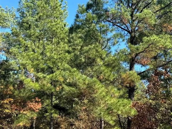 205 Bear Cedar Trail, Broken Bow, OK 74728