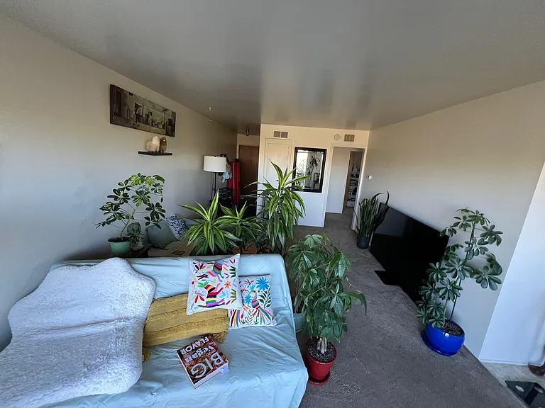 Clairemont Dr — Photo 8