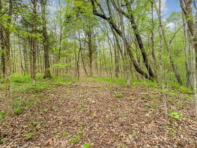 1 Walnut Grove Rd, Dickson, TN, 37055