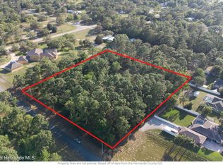 1451 Michelle St, Spring Hill, FL 34609