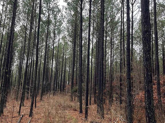 2nd image of 0 County Road 324 W