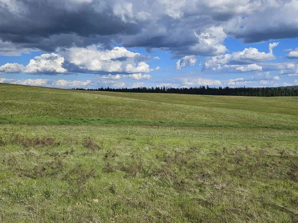 52XX Wagner Rd Lot A, Springdale, WA 99173