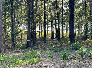 6 Hudson Point, Higden, AR 72067