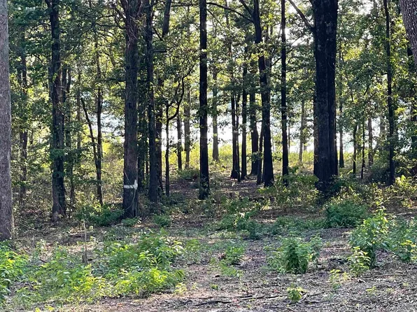 6 Hudson Point, Higden, AR 72067