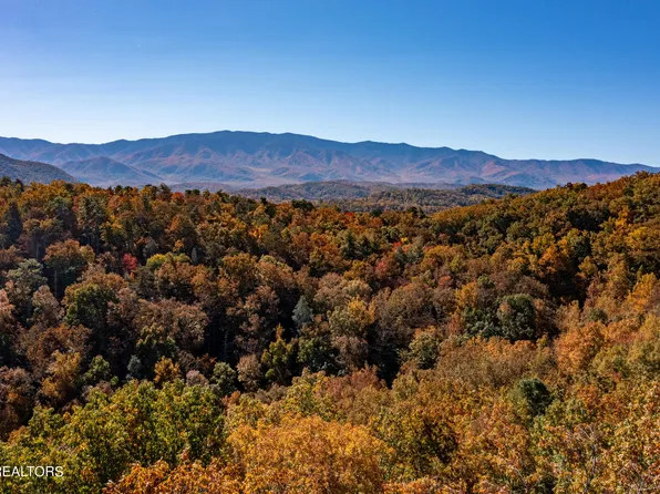 Black Elder Way, Cosby, TN 37722