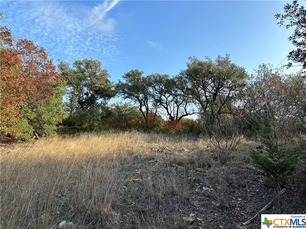 LOT 4 S State Highway 36, Flat, TX 76526
