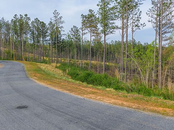 5th image of LOT 226 W Ridge Ln