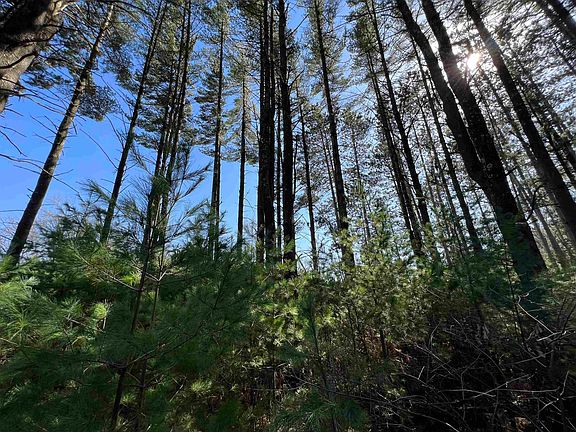 5th image of W5970 Driftwood Ln