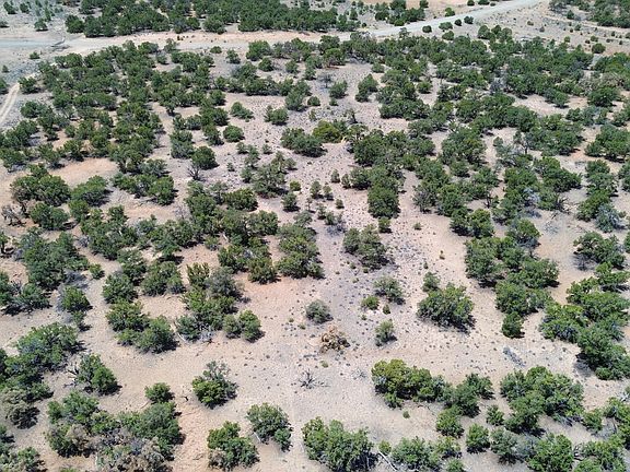3rd image of 1488 New Mexico 603