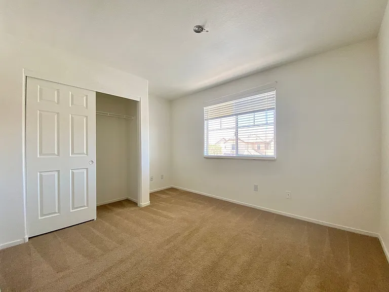 4033 Spring Line St — Photo 20