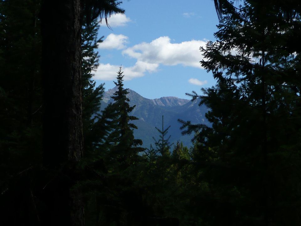 2nd image of 1770 Lot #8