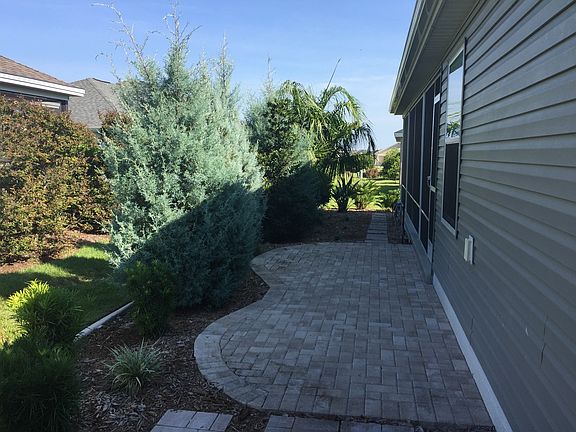 Back yard