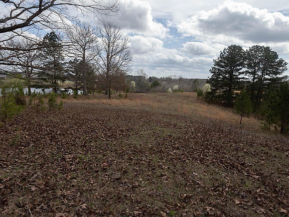 5th image of 7373 Fairplay Rd