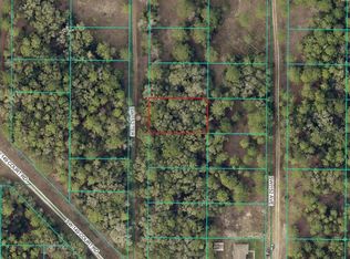 SW 152nd Ct LOT 16, Ocala, FL 34481