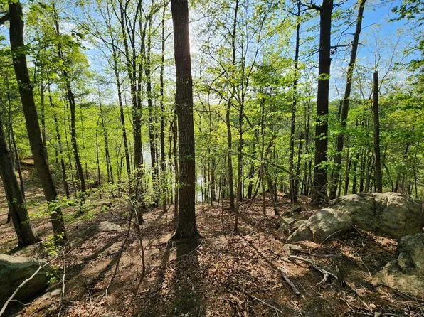 100 Lakeshore Terrace Rd, Hardy, VA 24101