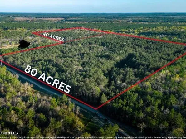 Otho Sellers Rd, Richton, MS 39476