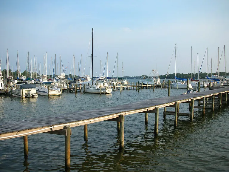 This is a picture of Boggy Bayou.
