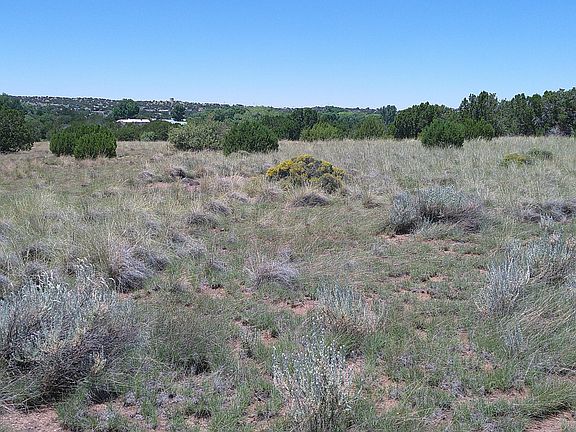5th image of 13 County Road 5084 #272