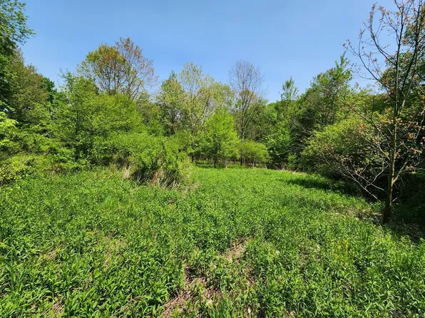 115D Lake Shore Dr, Boswell, PA 15531