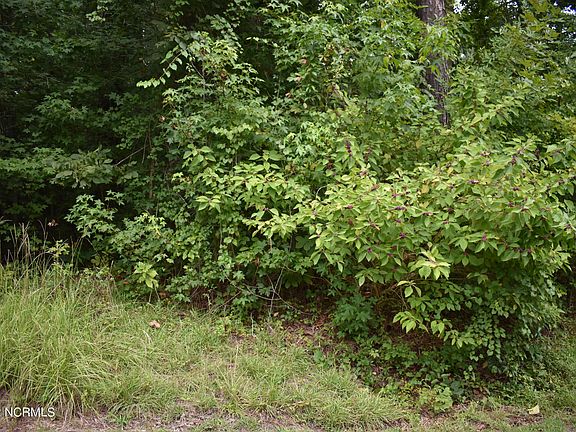 2nd image of Lot 50 Cottonwood Drive