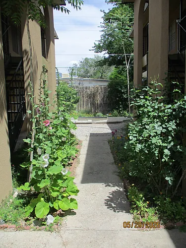 1804 Mary Ellen St NE #D Photo 1