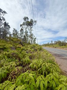 Volcano Rd Lot 1384, Volcano, HI, 96785