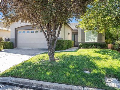 1104 Jonagold Way, Brentwood, CA, 94513