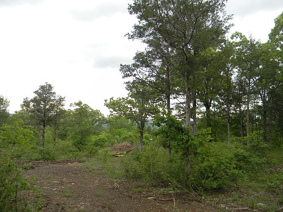 3rd image of 20428 Farm Road 2275