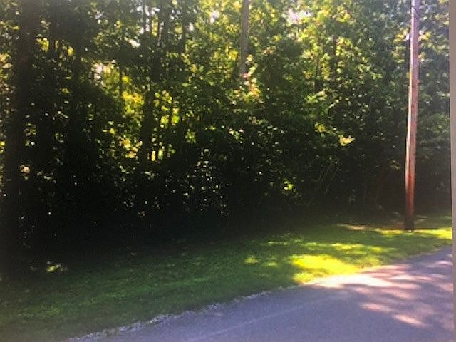 treed, sloping lot, one acre