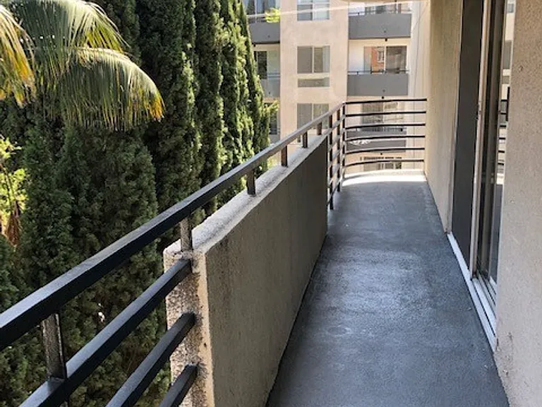 Hollywood — Photo 9