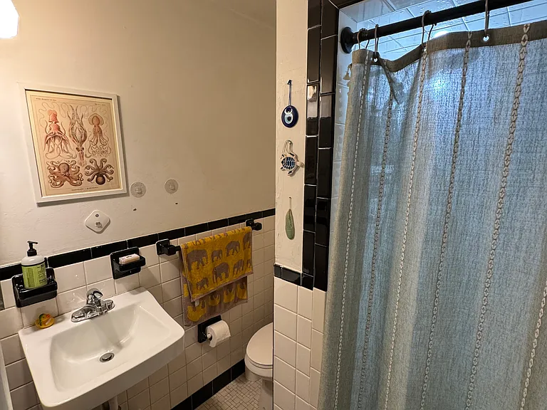 131 Court St #2C — Photo 7