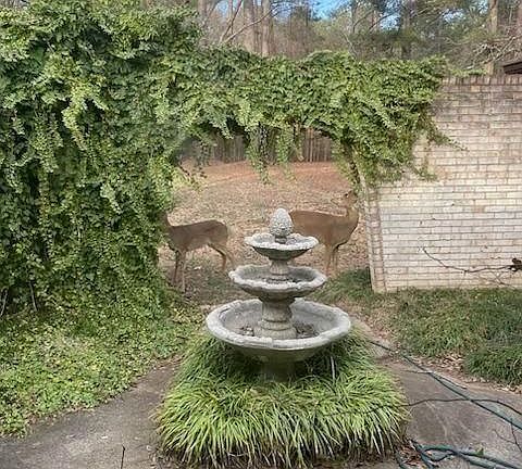 5th image of 324 Piper Rd