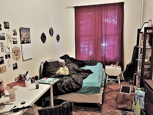 4th image of 219 E 17th St #1L