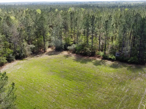0 Us Highway 49, Perkinston, MS 39573