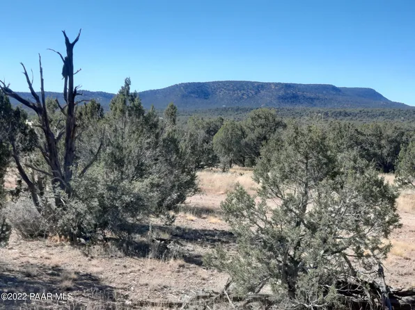 54595 N Castano Rd, Seligman, AZ 86337