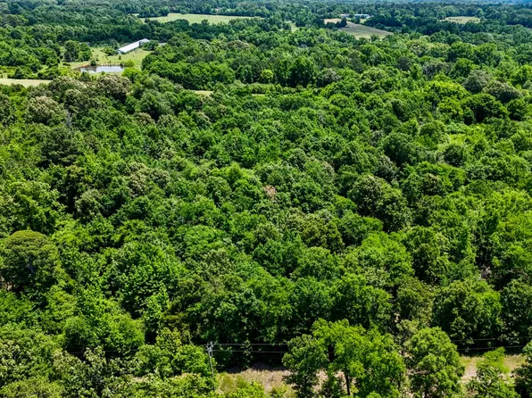 TRACT Three E 2030 Rd, Golden, OK 74737