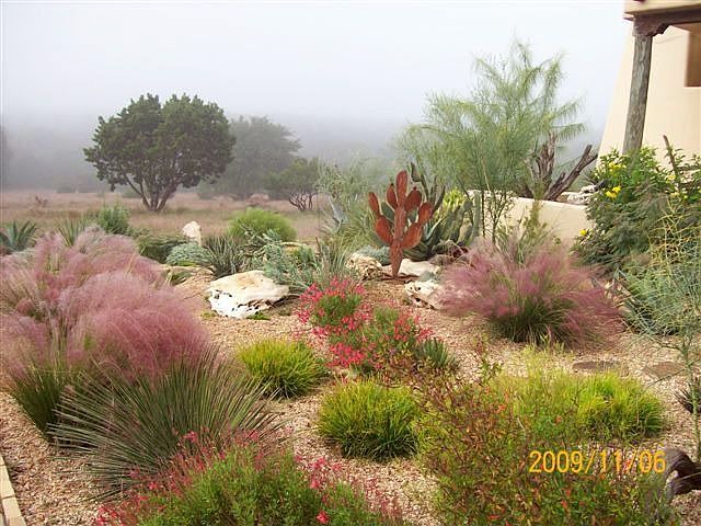 Morning mist in the front garden