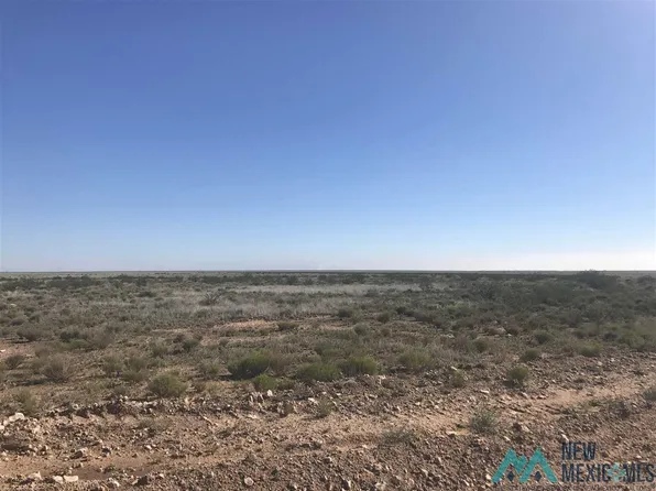 363 Old Yo Crossing Rd, Hagerman, NM 88232