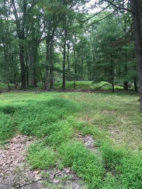 2nd image of Oneida Rd