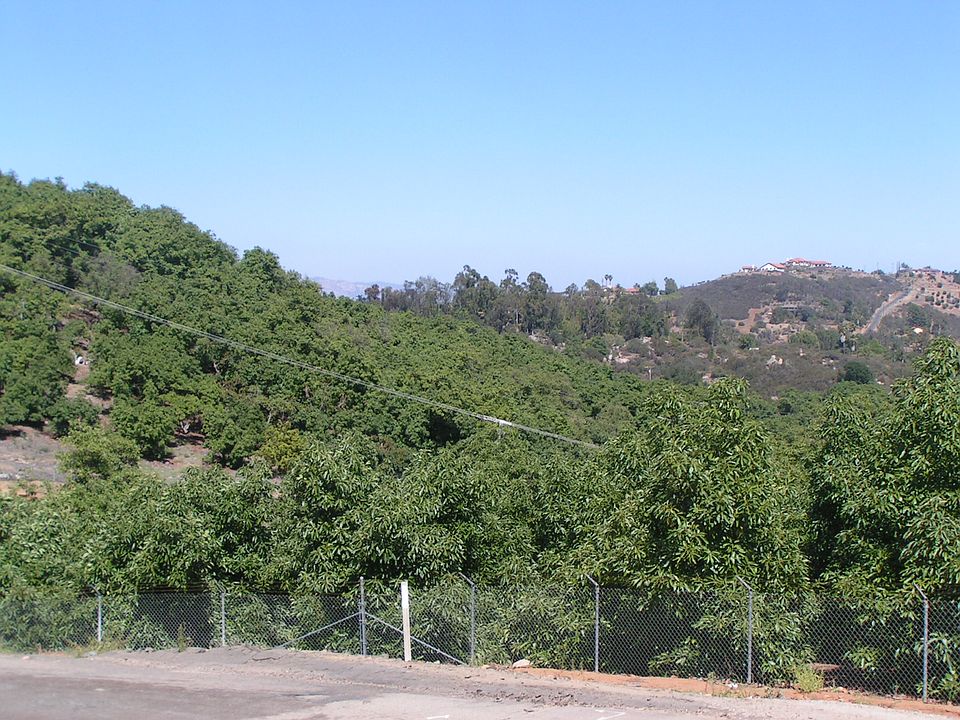 2nd image of Meadow Glen Way And Cougar Pass