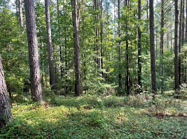 1341 Riverwalk Rd, Bishop, GA 30621