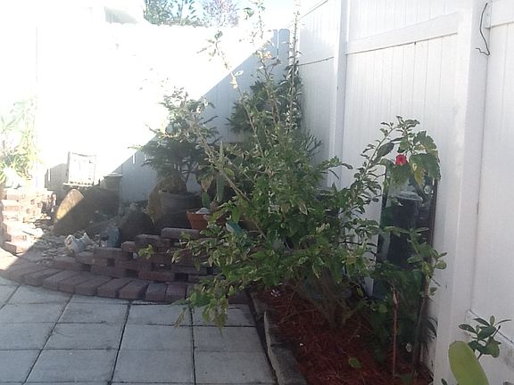 5th image of 2627 Butterfly Dr